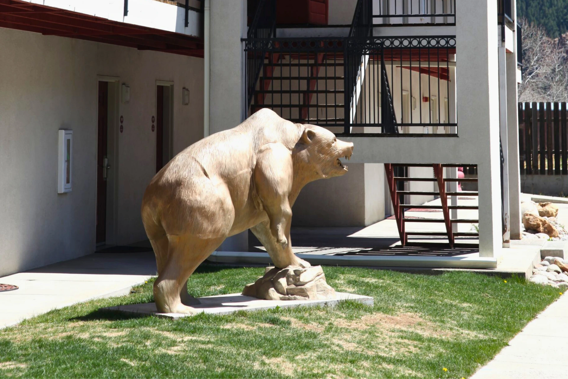 Exterior - Yard 3