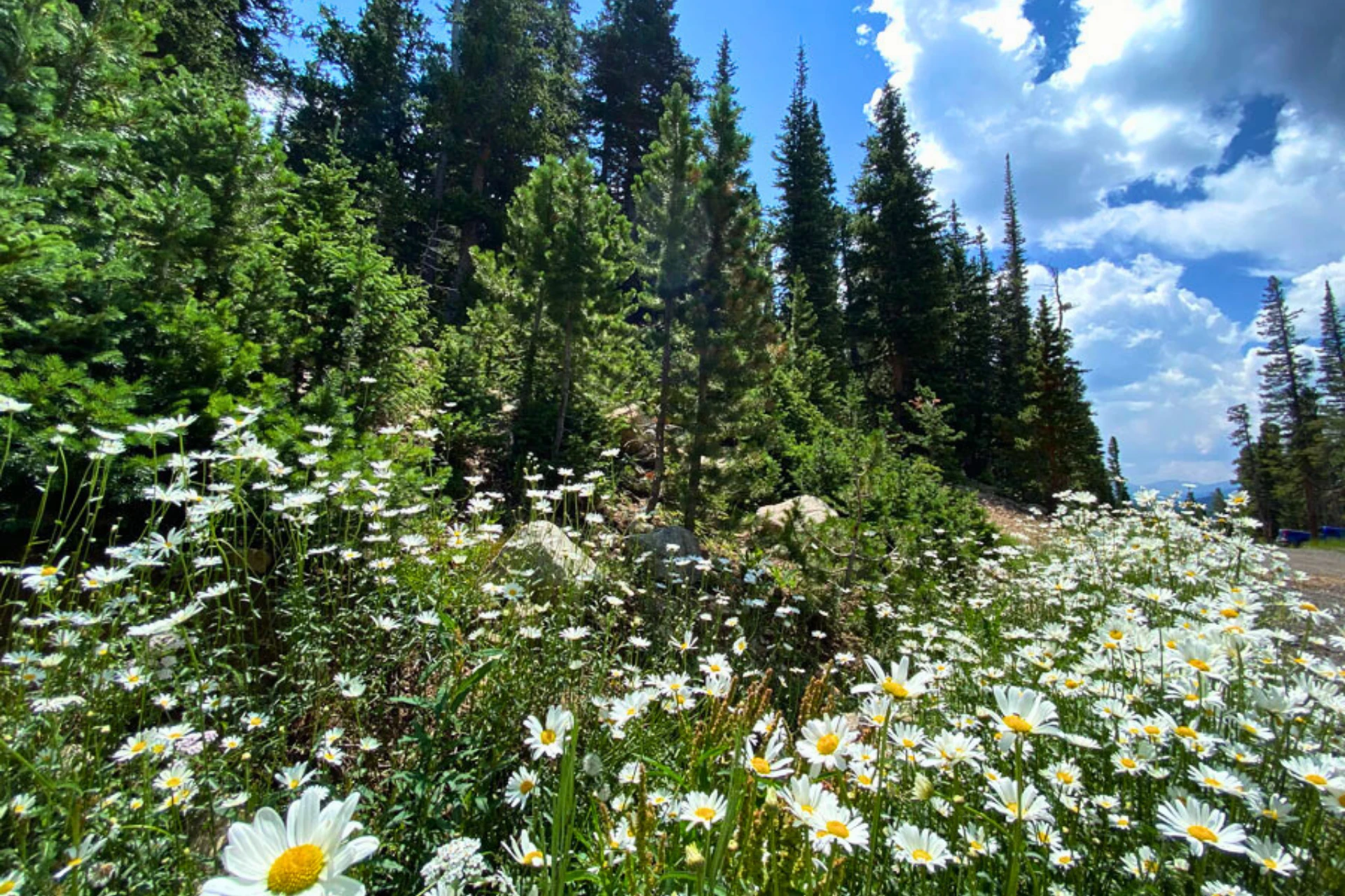 St. Mary's Glacier - 2